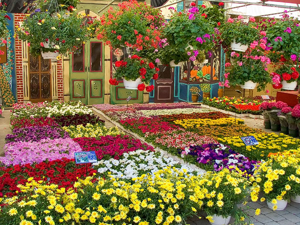 Perdagangan Bunga dan Tanaman Hias